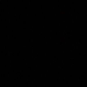 Meet your Posher, Allie